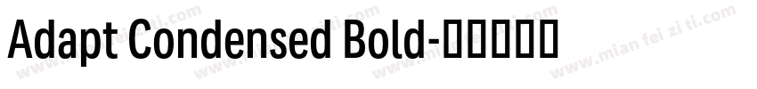 Adapt Condensed Bold字体转换